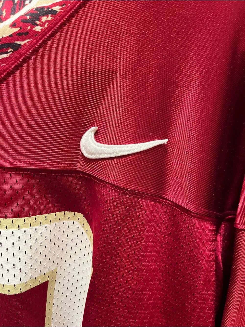 Nike Florida State Football Jersey #19
